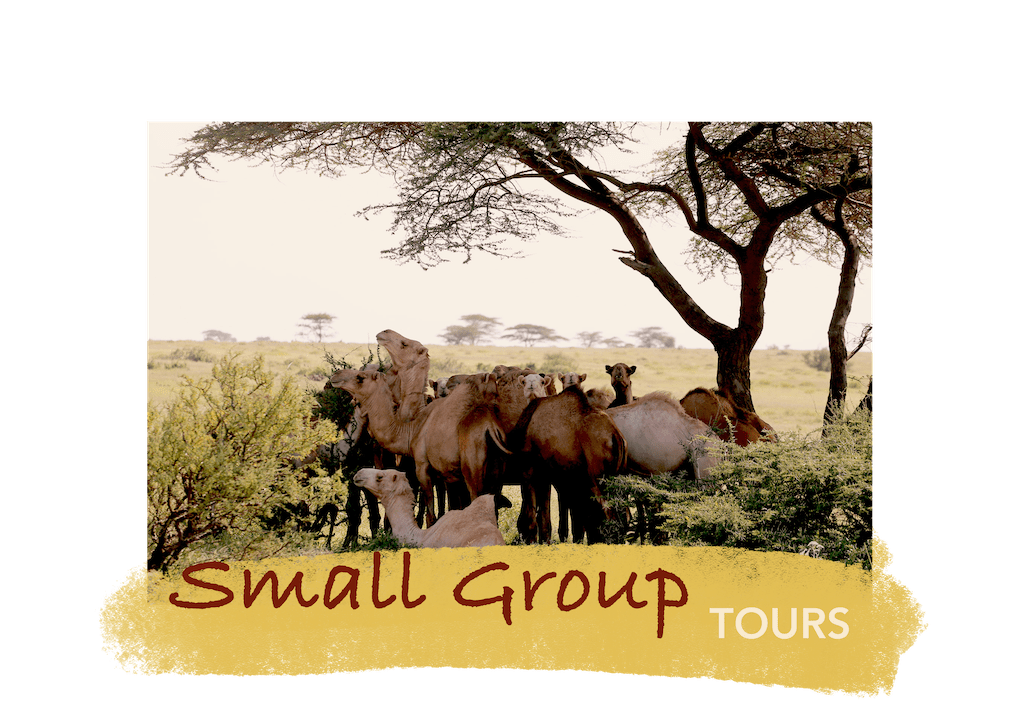 Speedwave Adventures Kenya explore Kenya in a small group