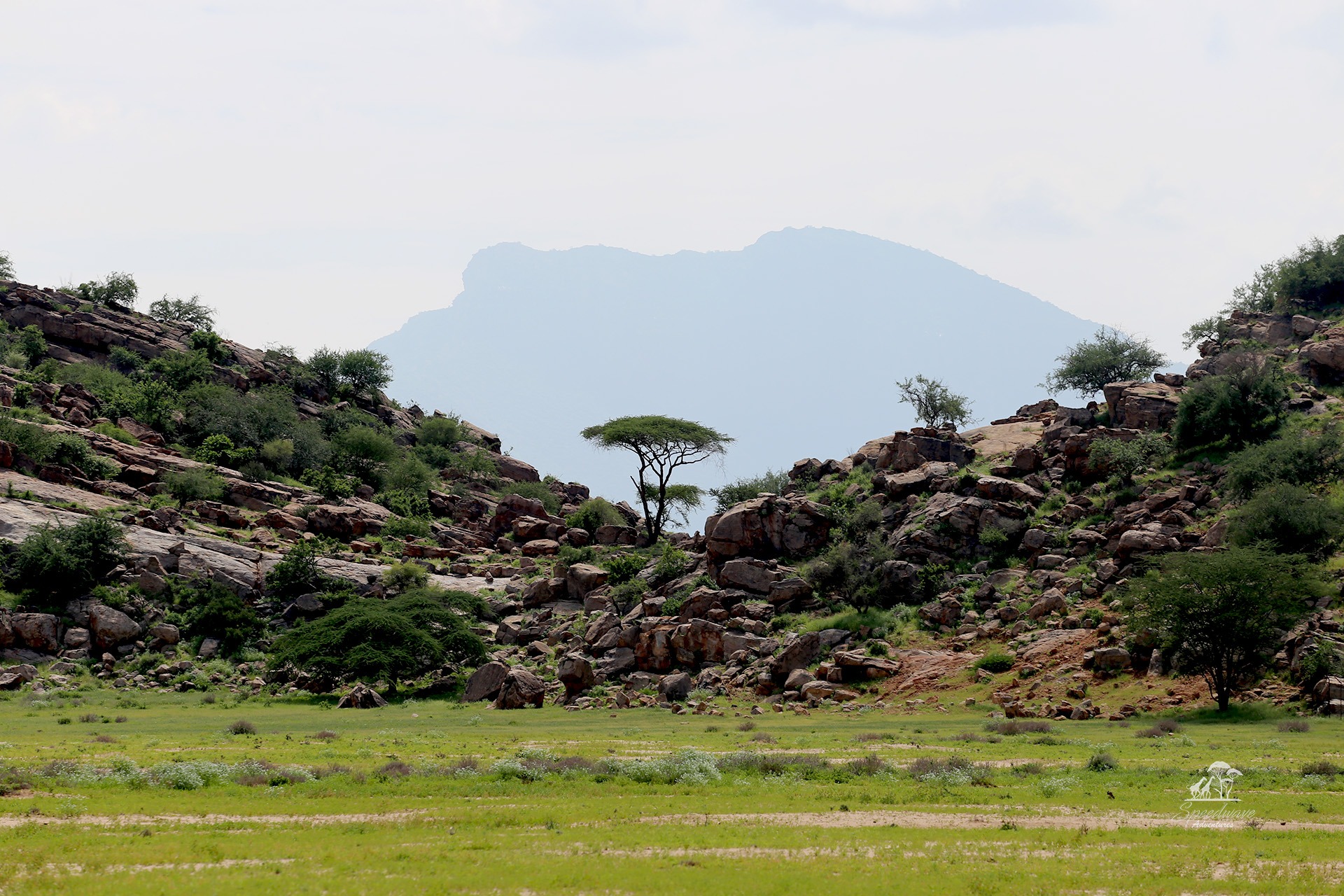 Speedwave Adventures Safari tours Kenya