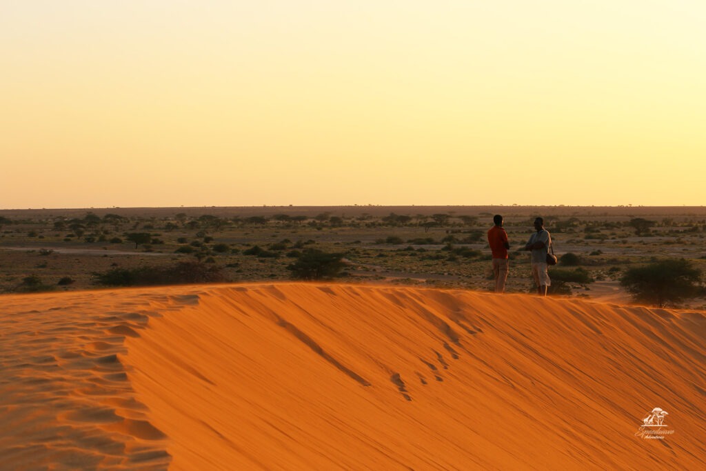 Speedwave Adventures Safari tours Kenya