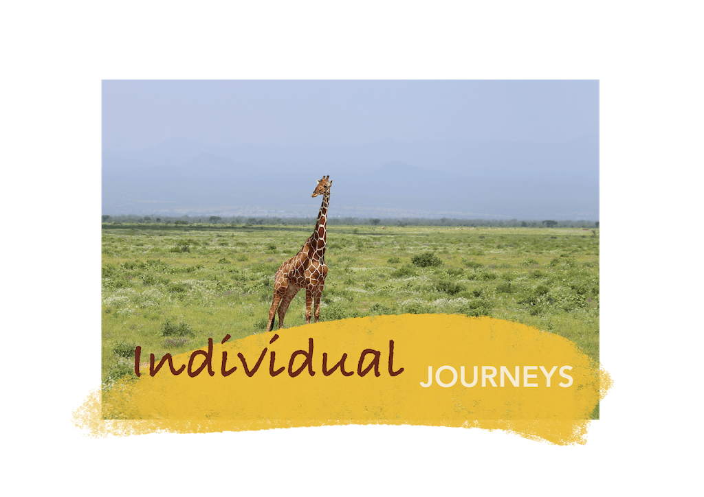 Speedwave Adventures Kenya your individual journey