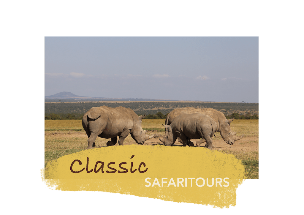 Speedwave Adventures Kenya Classic Safari tours