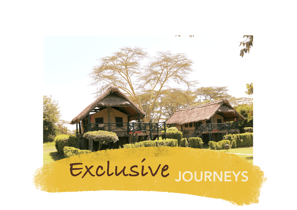 Speedwave Adventures Kenya Exclusive safari journeys